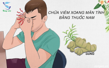 Bài thuốc chữa tận gốc viêm xoang mãn tính bằng thuốc nam