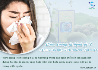 Viêm xoang là bệnh gì? Cách nhận diện viêm xoang sớm nhất
